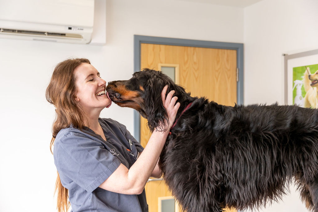 Searching for an additional brilliant vet….