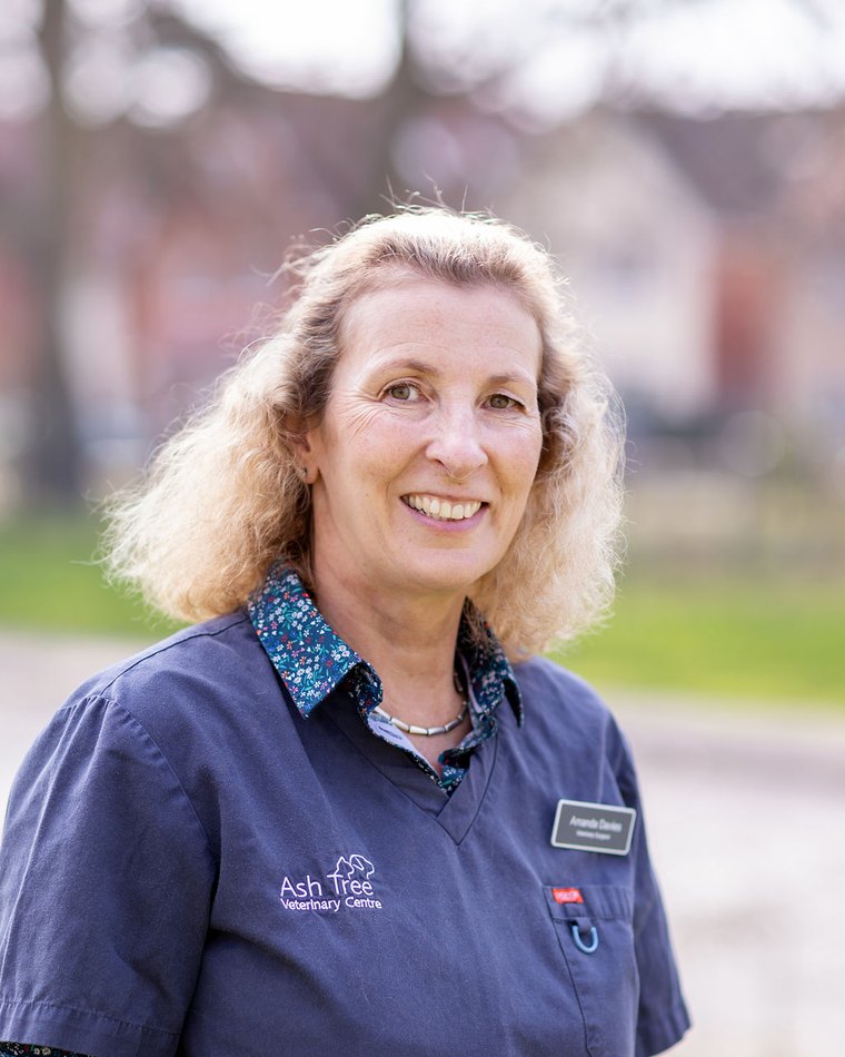 Amanda Davies MA VetMB MRCVS