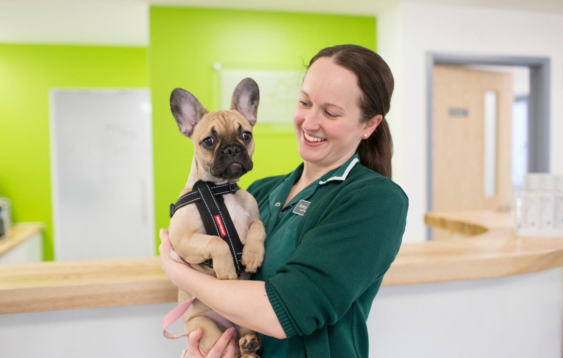 A nurse with a French bulldog at reception