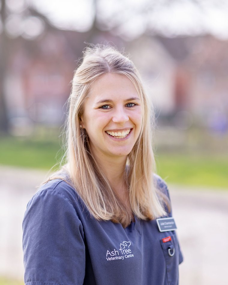 Juliet Harber BVSc MRCVS