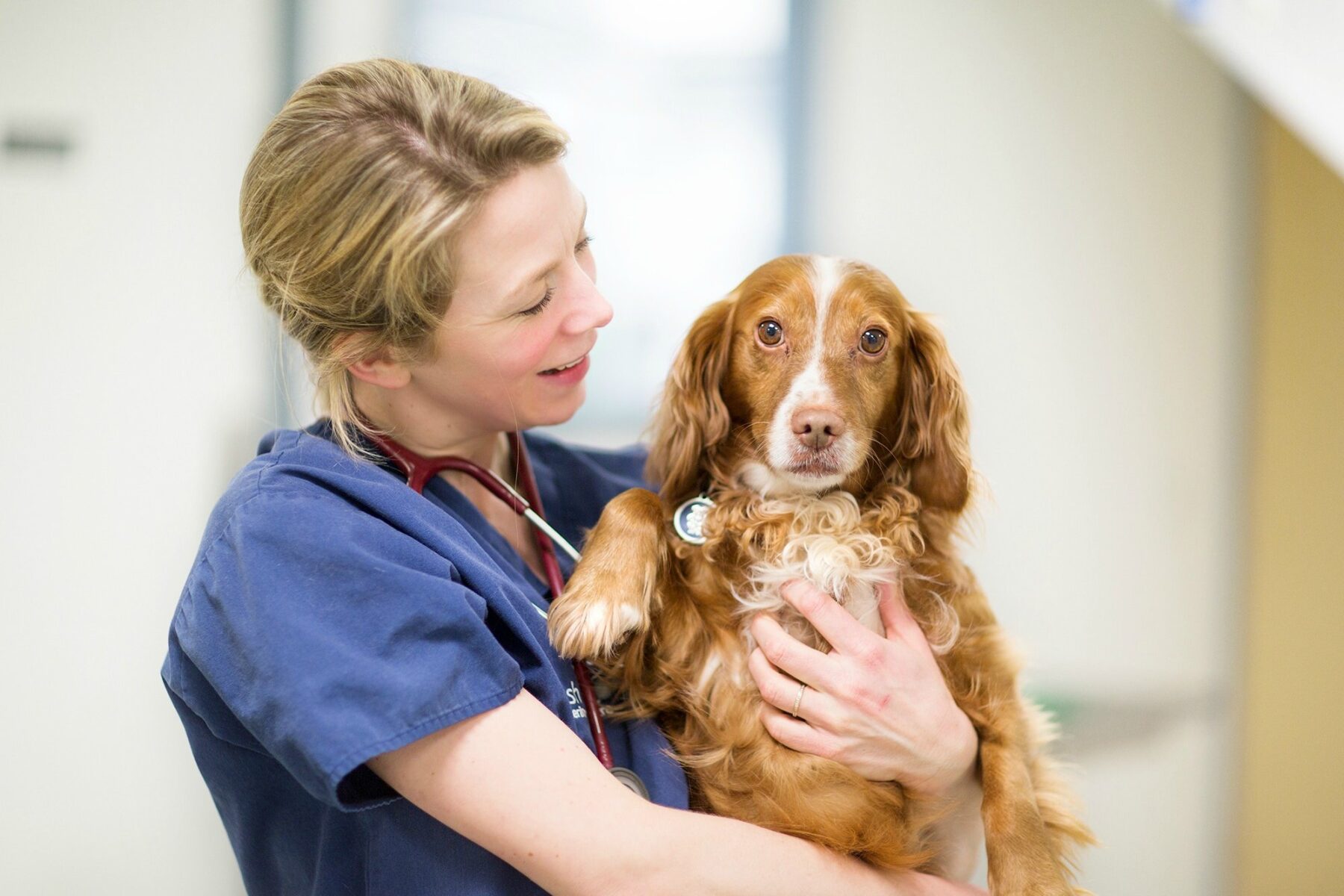 Maryrose Mitchell holding a cocker spaniel