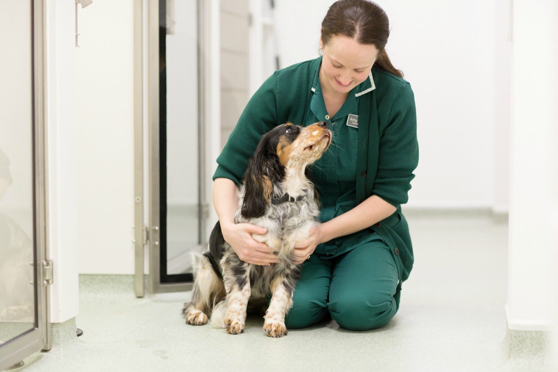 A nurse with a cocker spaniel